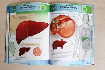 Энциклопедия 4D в дополненной реальности «Анатомия»